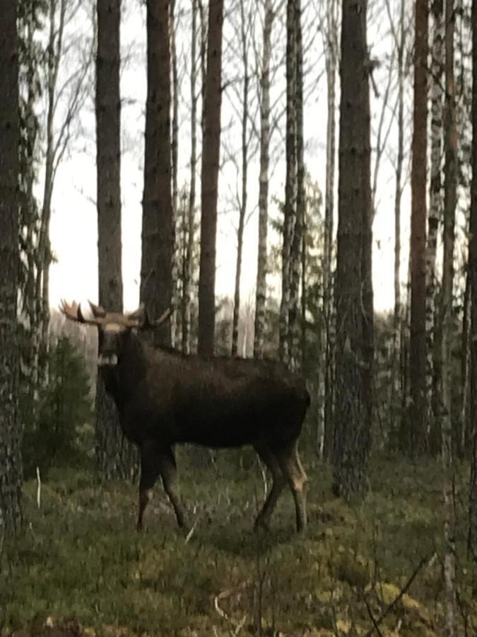 Ängsliden Villa Charlottenberg Eksteriør billede
